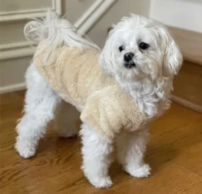 Soft Plush Dog Pullover - Cream