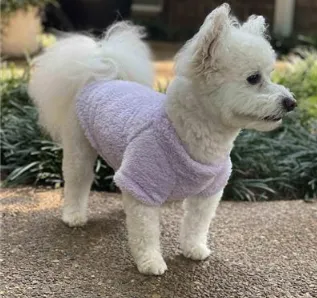 Soft Plush Dog Pullover - Cream